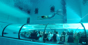 y-40-tunnel-spettatori-e-sirena-montegrotto-terme
