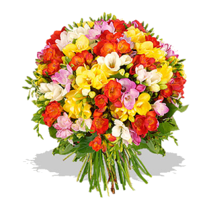 bouquet-multicolori-fiori-della-costituzione