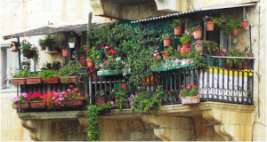 balconi in fiori