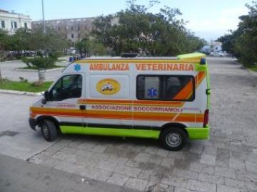 ambulanza veterinaria